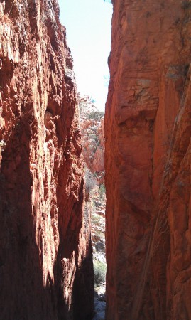 The Standley Chasm, Central Australia